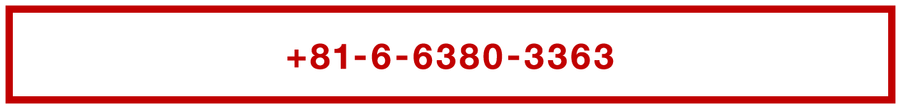 +81-6-6380-3363